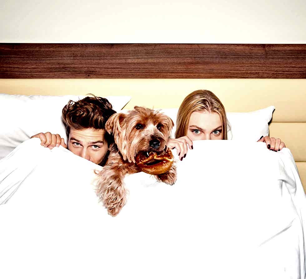 Couple in bed with dog