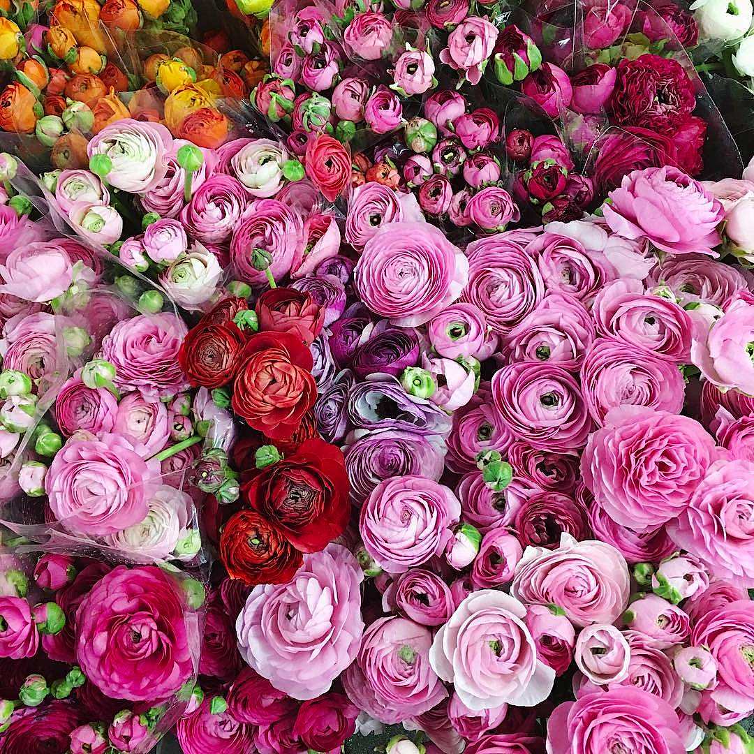 Pick your poison. ? ? @lateafternoon